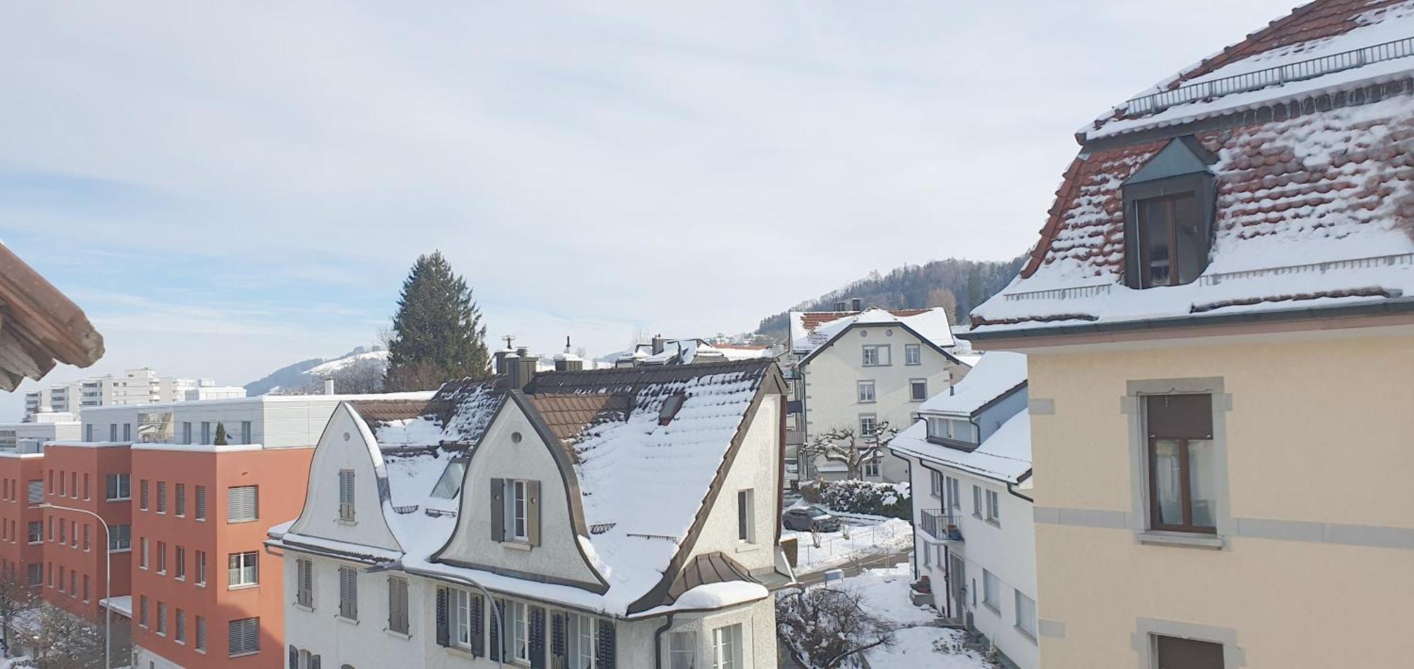 2 Zimmer Zentral-Ruhig Mit Flair Gertrud Schloessli St. Gallen Exterior photo